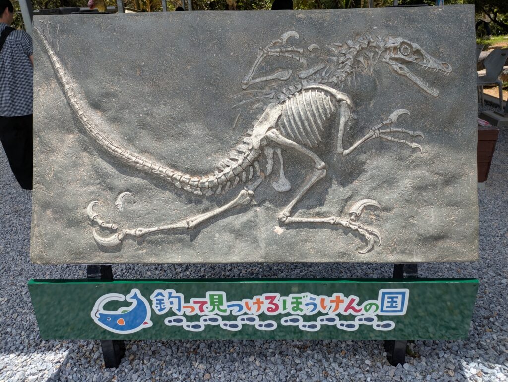 釣って見つけるぼうけんの国沖縄_化石採取体験