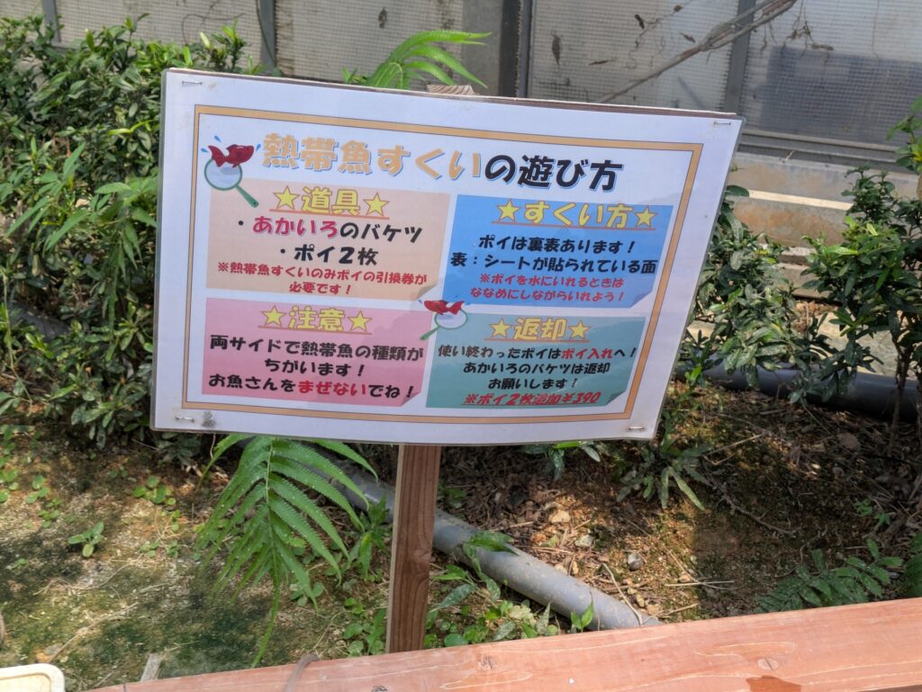 釣って見つけるぼうけんの国沖縄_金魚すくい説明.
