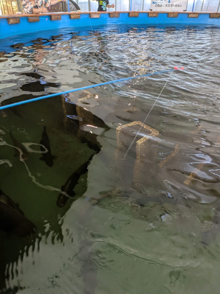 釣って見つけるぼうけんの国沖縄_釣り堀体験